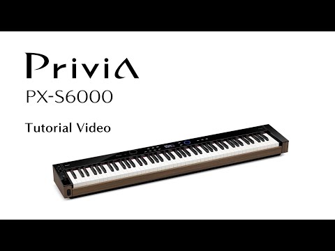 Цифровое фортепиано Casio Privia PX-S6000BK