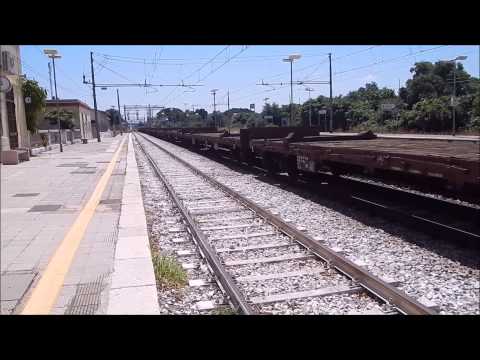 Transiti a Bari santo spirito