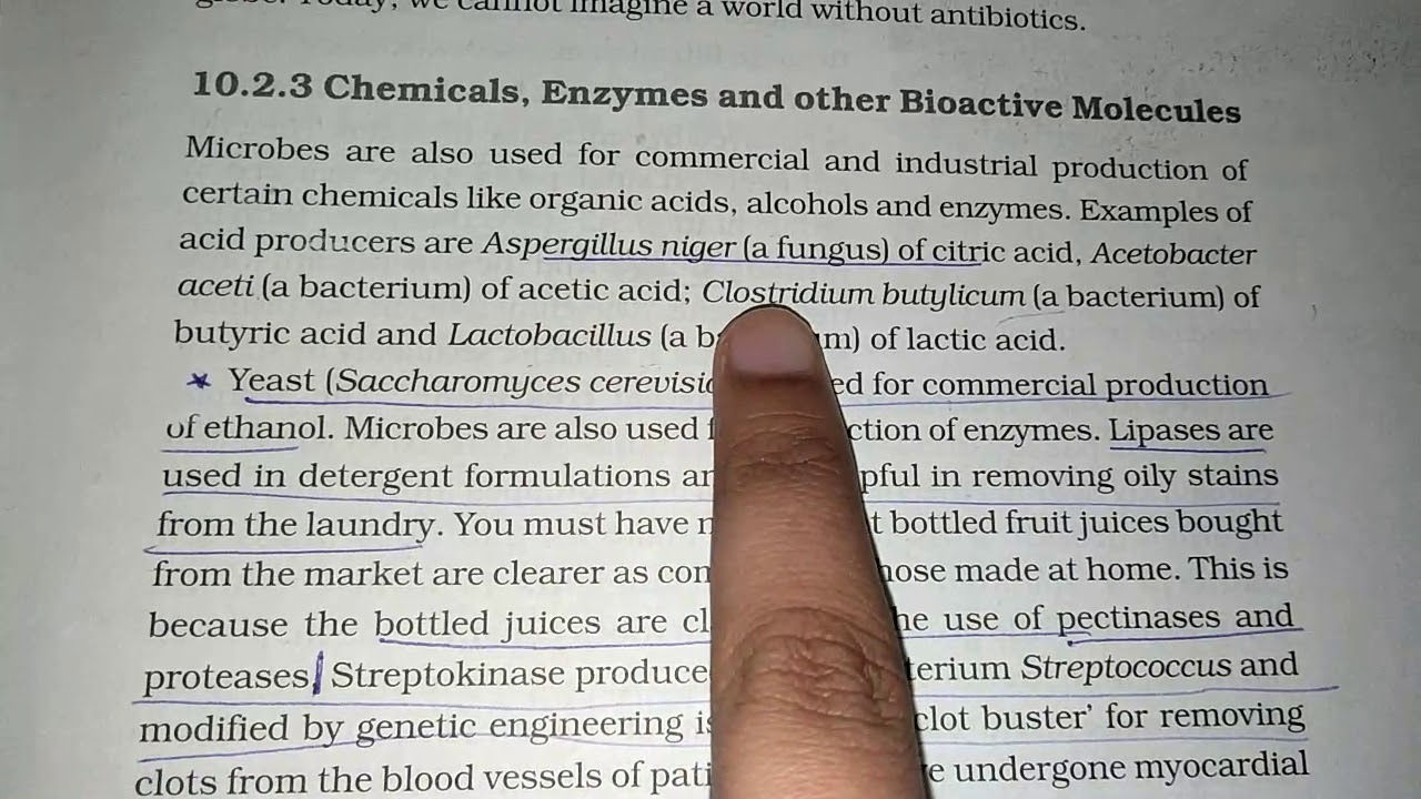 Microbes in human welfare / chemicals , enzymes and other bioactive molecules/ NEET prep in 2 months
