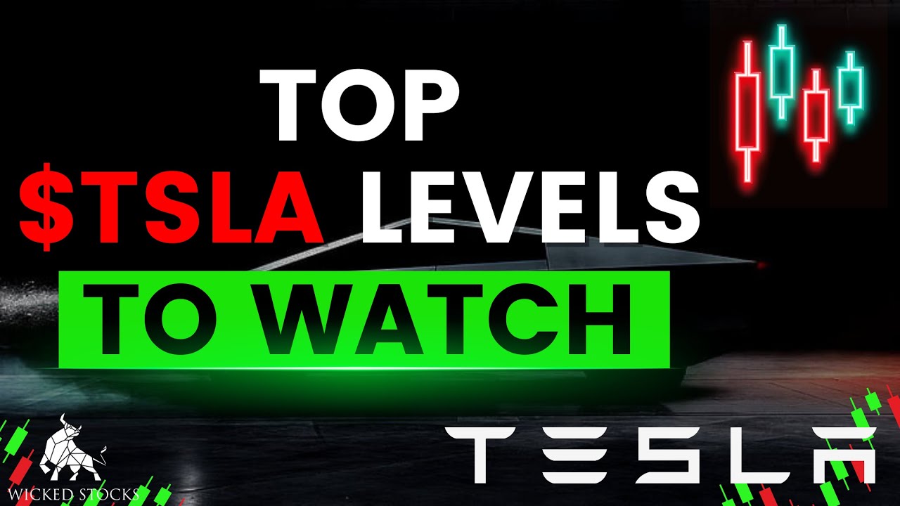 Tesla Stock Price Analysis | Key Levels To Watch for November 4th, 2024