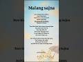 Malang Sajna Song Lyrics Musiclyrics Viral Tranding Son G Lyric S Malangsajna Bollywood