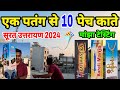 Kite Flying Vlog Surat 2024 | Manja Testing Video | Surat Uttarayan 2024 | Kite Festival Surat 2024
