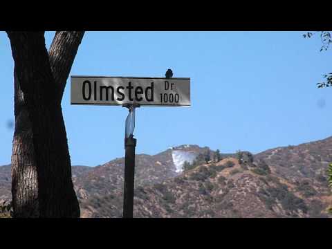 wildfire getting helo-dump in brand park, glendale CA 26 aug 2012