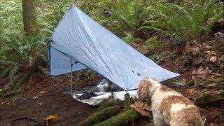 ZPacks Hexamid Solo Plus Tarp Forest Rain First Setup