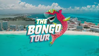 Let 39 s party with The Bongo Tour!