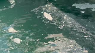 salerno-lotta-all-inquinamento-entra-in-funzione-lo-spazza-mare