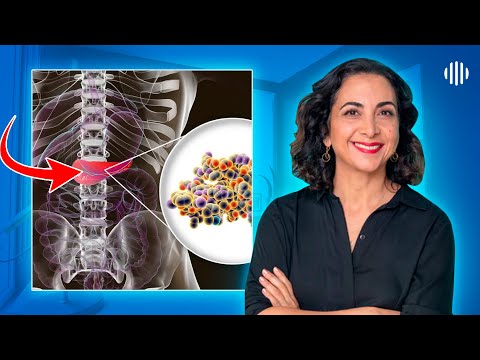 Cómo funcionan la Insulina y Glucosa en el cuerpo  | Bárbara Álamo