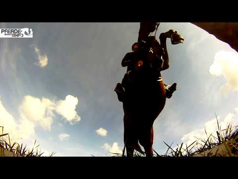 Wie bereitet Falk Westerich sich auf’s Indoor Derby vor?