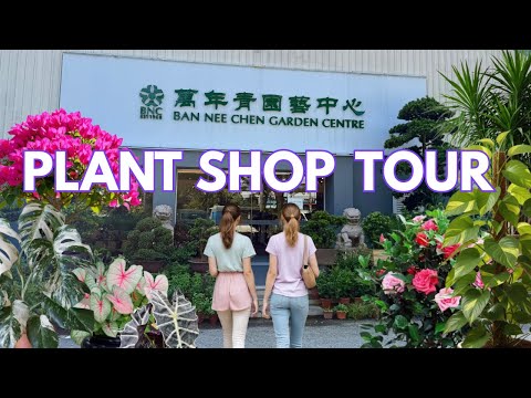 🌴 Plant Garden Shop Tour | Ban Nee Chen Nursery Plant Shop | A Relaxing Tour Of The Garden Shop