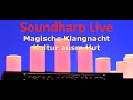 Burkard Schmidl - "Soundharp" Performance