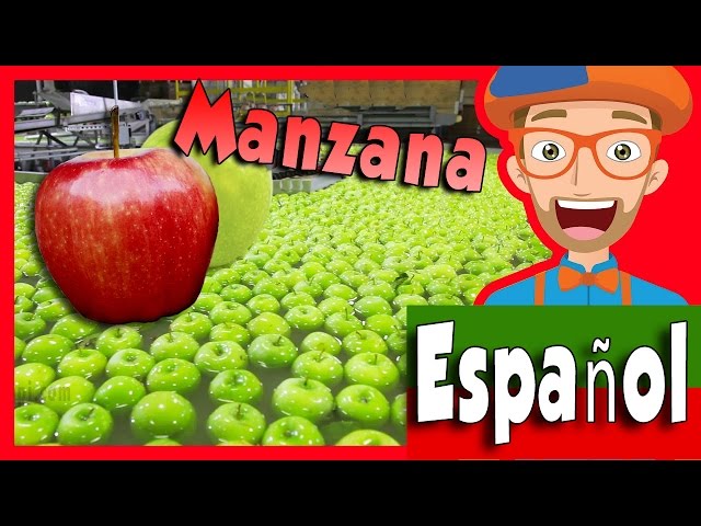 西班牙语中manzana的视频发音