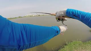 preview picture of video 'Smith Dragonbait VS Barramundi Pilot111'