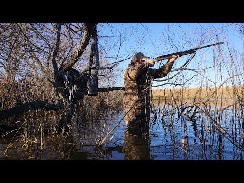 download lagu mp3 mp4 Greenhead, download lagu Greenhead gratis, unduh video klip Greenhead