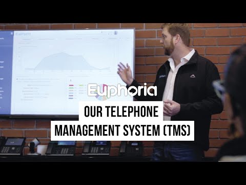 Euphoria Telecom: Our Telephone Management System (TMS)