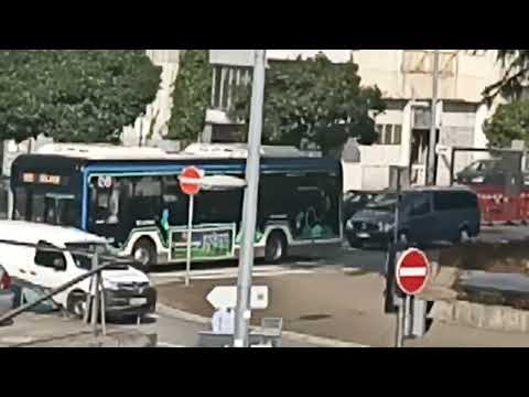 STCP 1310 - 800 *VERY RARE*