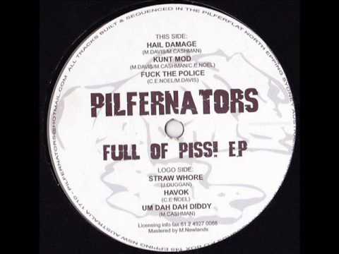 The Pilfernators - Hail Damage