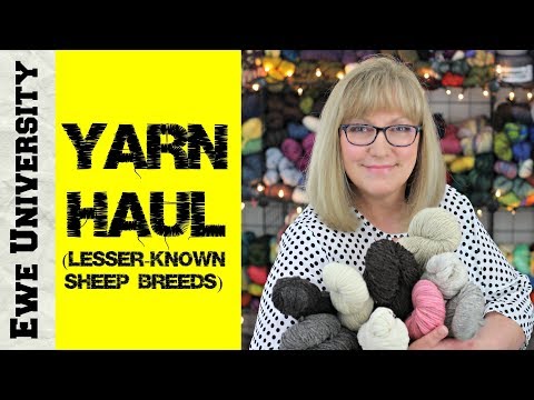 , title : 'YARN HAUL #2: YARN FROM LESSER-KNOWN SHEEP BREEDS || EWE UNIVERSITY'
