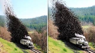 Momentos Inacreditáveis de Trens Flagrados pelas Câmeras