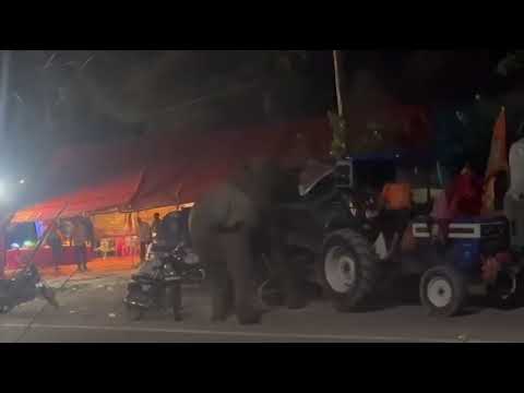 #wildlife #wildanimals