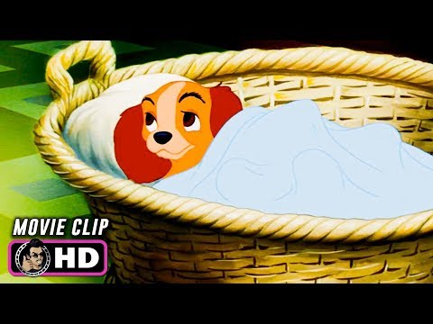 LADY AND THE TRAMP Clip - Bedtime (1955) Disney