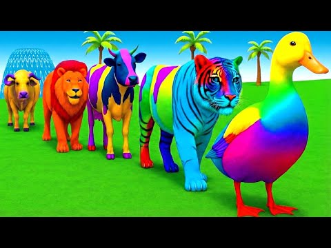 Long Slide Game With Elephant Gorilla Buffalo Hippopotamus Tiger - 3d Animal Game - Funny 3d Animals