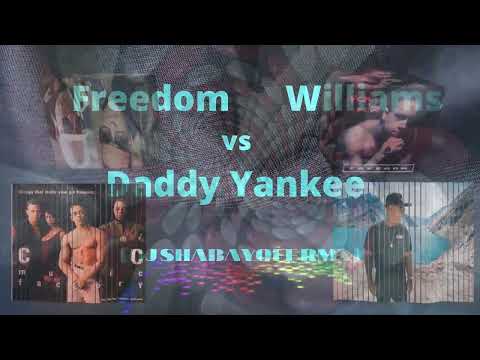 Freedom Williams vs Daddy Yankee (DJ SHABAYOFF RMX)