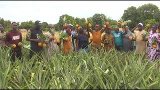 Réinsertion des militaires blessés : la ferme pilote de Bobo-Dioulasso porte ses fruits