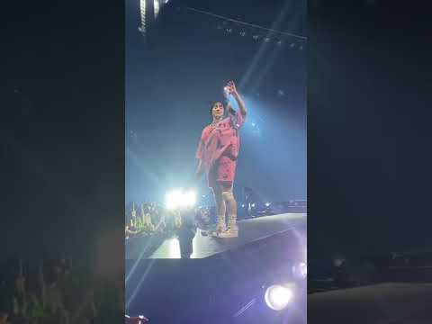 Billie Eilish Catches Bra While Performing