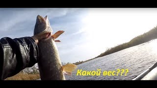 Озера для рыбалки в ростовской области