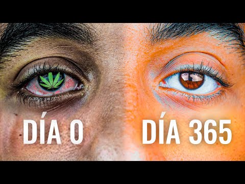 365 Días Sin Marihuana: ¡El Mejor Año de Mi Vida!