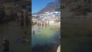 Download lagu Mermaid Sighting in Cape Town mp3