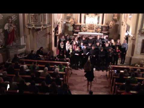 MPZ Homec - Mladost je kot vihar