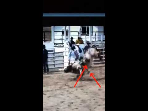 How to Bull Ride-Resetting Your Feet