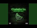 Calabria Feat Fallen Roses Lujavo Lunis Shift K3Y Edit