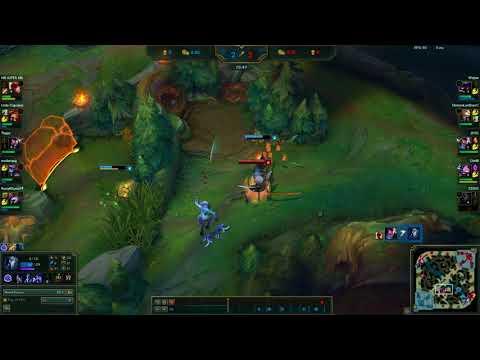 League of Legends - Lee Sin Safeguard