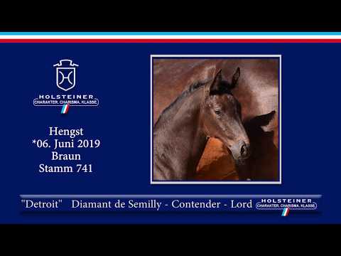 Holsteiner Elite-Fohlenauktion 2019 - Nr. 22 Detroit v. Diamant de Semilly-Contender