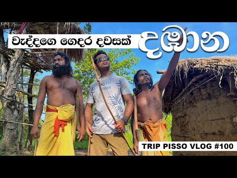 We slept at Vedda's house in Dambana | Vedda Tribe in Sri Lanka!