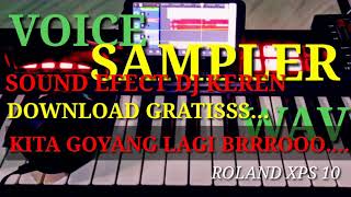 Download lagu DOWNLOAD GRATISS WAV KITA GOYANG LAGI BROO.. mp3