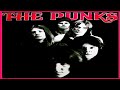 The Punks The Punks 1973 1976 Full Album Glam Punk Garage Punk Punk Rock Hardcore Punk