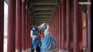 Discover South Korea with TripOppo!