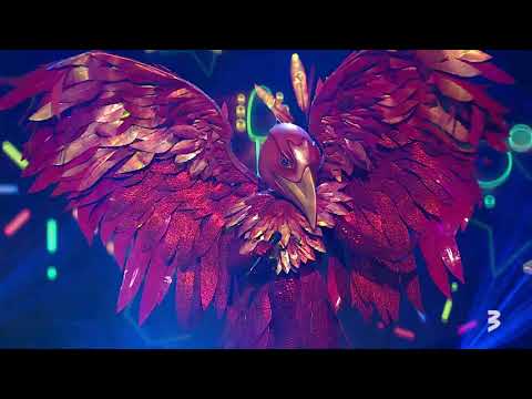 [BM8EP] Fēnikss // Pa Apli