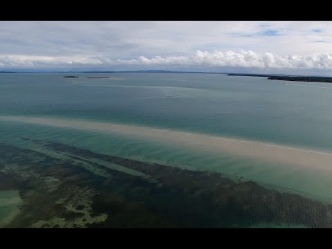 Australian Course in Advanced Neuroscience 2017 – applications open