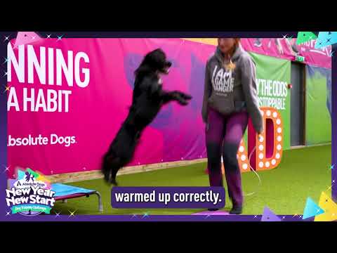 GAME 2 — Skipping