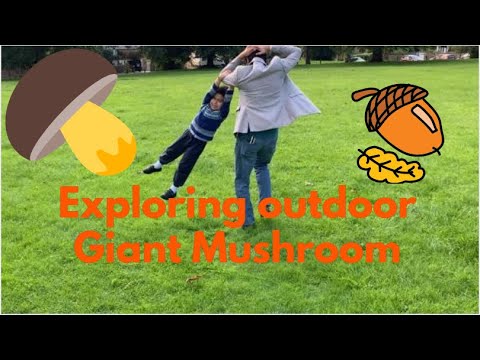 Giant Mushroom and Chestnut Tree: Exploring the nature: Outdoor fun with Akshaj