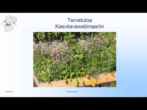 , title : 'Kasvilavawebinaari'