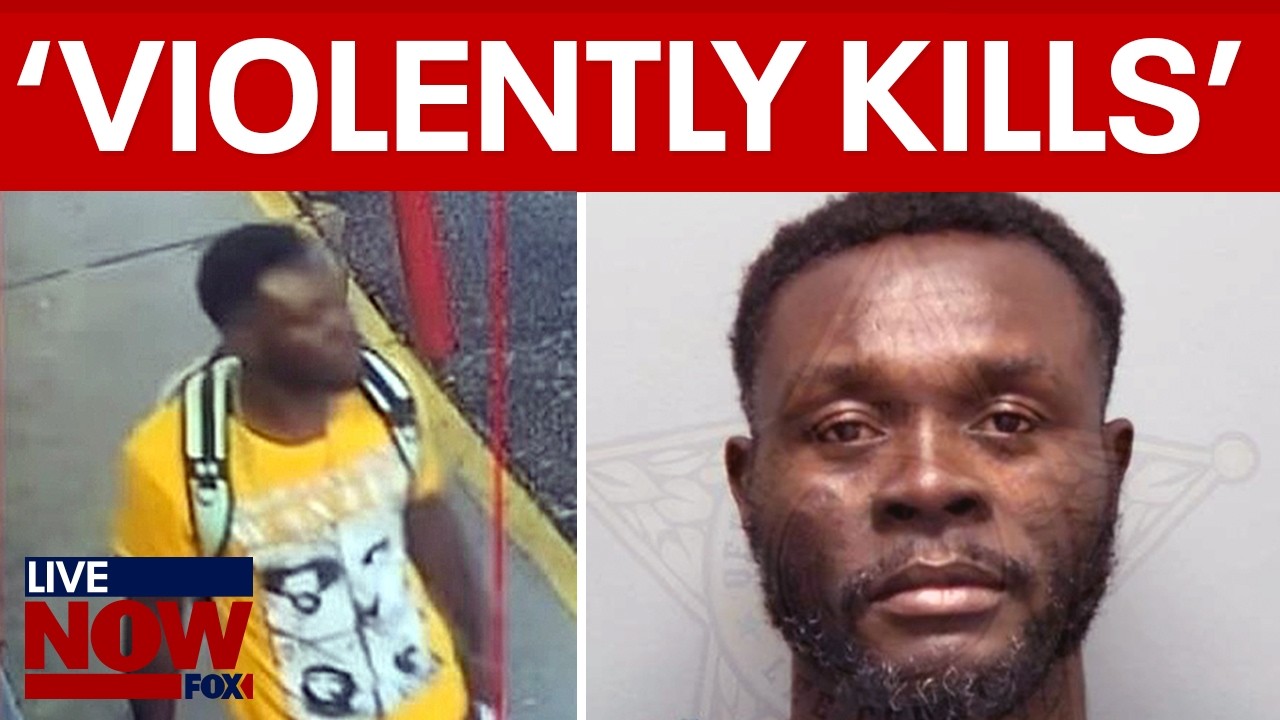 DHS: 'illegal alien' strikes woman with hammer