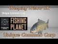 Unique Common Carp - Weeping Willow UK - Fishing Planet Guide