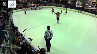 preview picture of video 'Canberra Ice Hockey - Senior B 2014 Grand Final - Blades v Bulls'