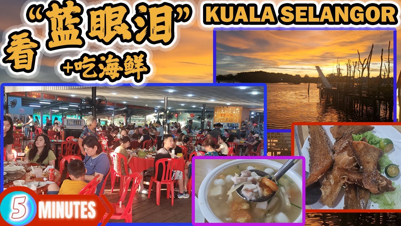 蓝眼泪: Kuala Selangor: 超值好料海鲜，夜间游船捞蓝眼泪！夜航 ！