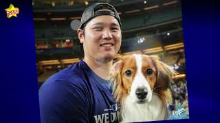 [問卦] 大谷他是不是愛狗更甚愛他老婆？